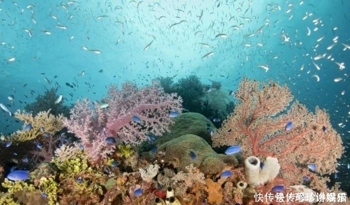 如果人类继续任性，80年后地球变成什么样子不要被霍金预言说中