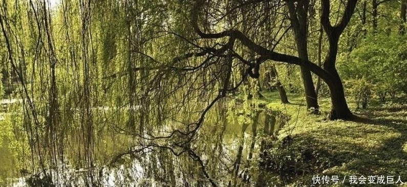 诗人#无名氏写下一首送别诗,对唐诗产生了巨大的影响,很多人都引用过