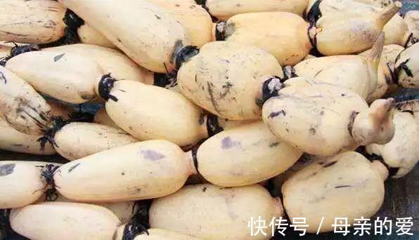 饮膳正要|哺乳期最适合的8种素食,吃一口每天涨奶800ml,值得学习