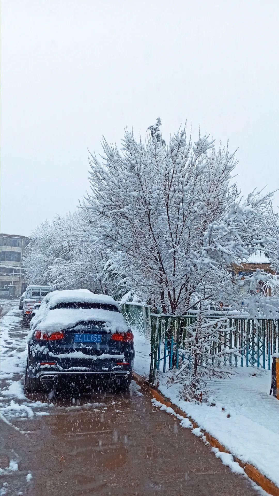 今天，拉萨下雪了！