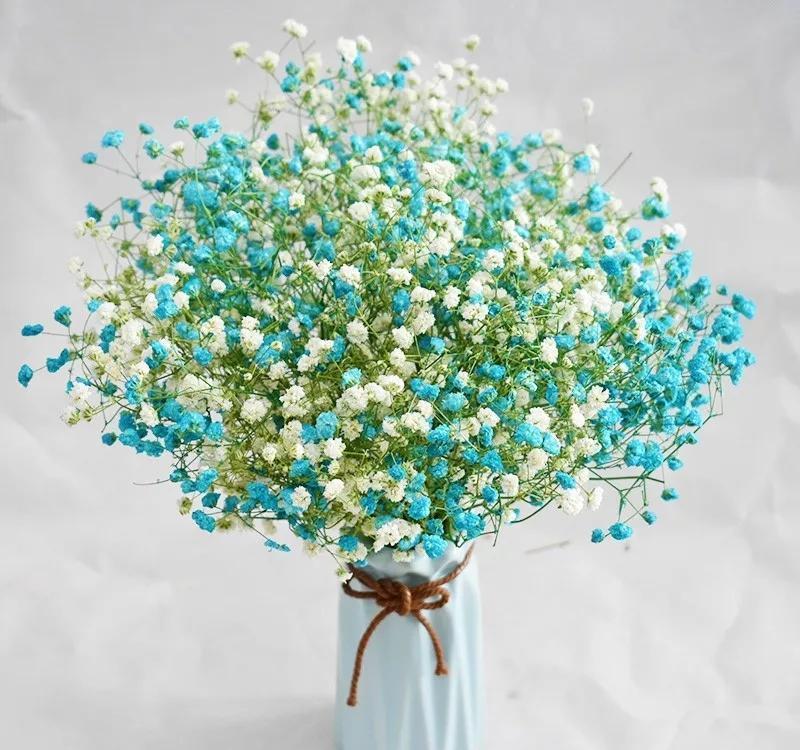 5种“网红”年宵花，个个都“吉祥”，寓意好颜值高，快去摆一盆