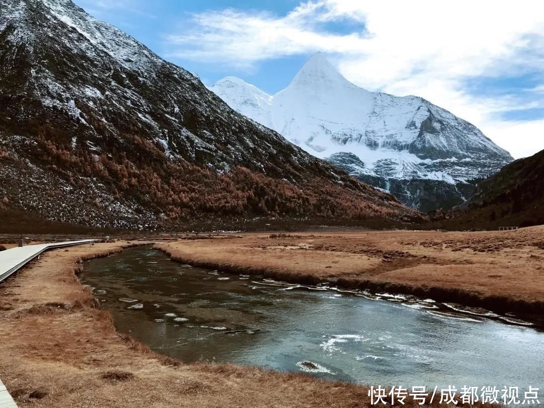 在这片土地上奔跑，和它们一起回到童年时光