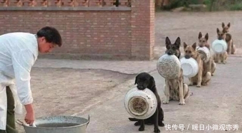 皇帝给族长出难题,赐2个梨让家族900人分吃,族长靠一招轻松化解