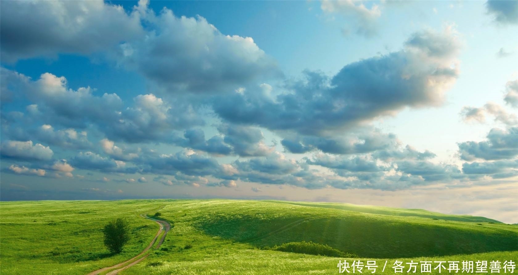 胡正宏|微友系列之三十三:胡正宏 作者:汤大立