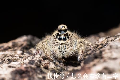 21个鲜为人知的冷知识可能让你重新认识这个世界