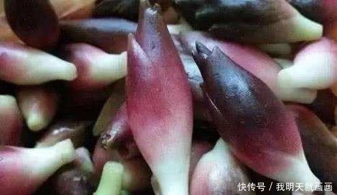 食用价值|山上看到这“山珍”,不要错过了,它在市面上可是能卖到15一斤