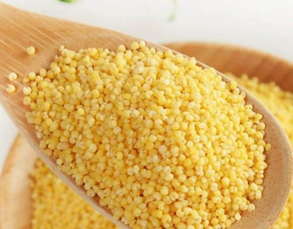 此物|爱喝小米粥的人 ,长寿不会远离你,但勿和此物搭配,早知早好!