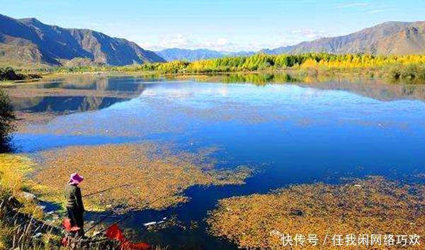 鲫鱼|冬钓鲫鱼,5不原则,气温低鱼情差,外出钓鱼别盲目!