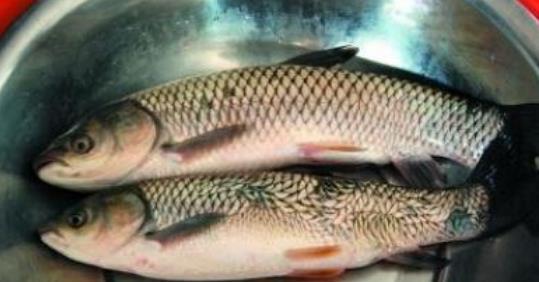 腊肉|腌腊鱼,光抹盐还不够!再加这2步,腊鱼咸香入味,放再久不变质