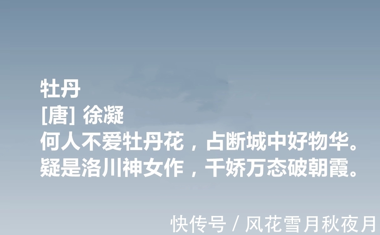白居易#唐朝低调诗人,徐凝十首诗作,牡丹诗登峰造极,七言绝句堪称高手