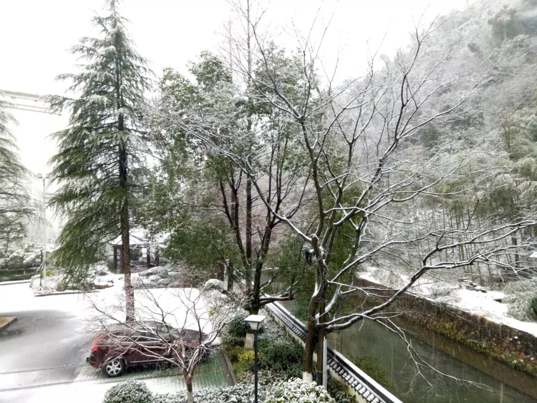 积雪|上班第一天，余杭多地银装素裹