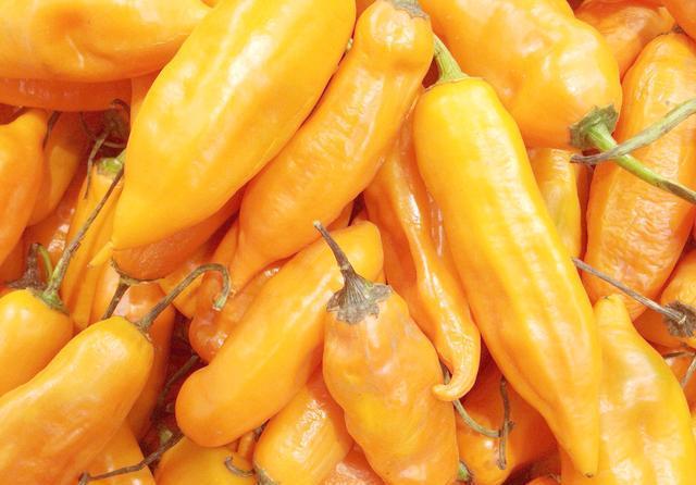 淡化|女性秋天爱美,吃养颜的食物,淡化色斑,补水护肤,保持皮肤弹性