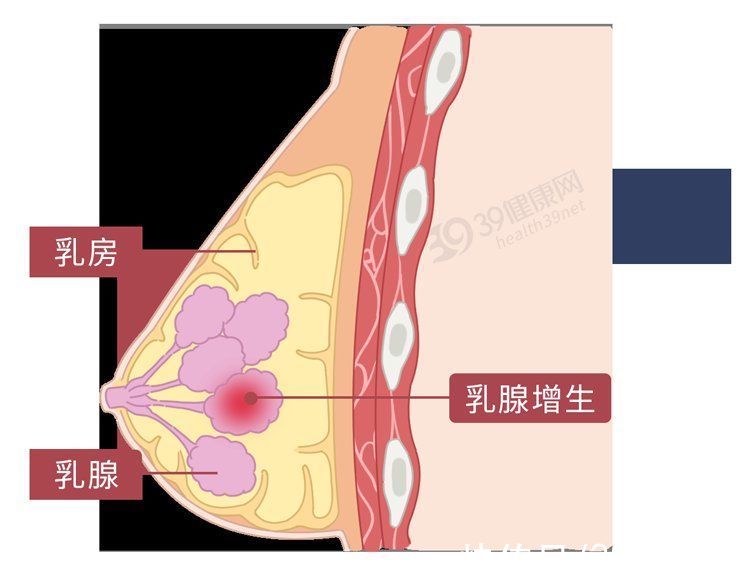 杏仁核|这些病都是被“气”出来的！看完这6大危害，别生气，气病没人替