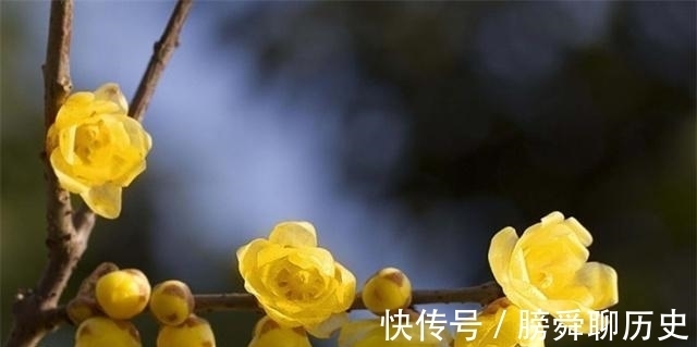 释义|人生有四悲四喜,人生“三惜”又是什么?