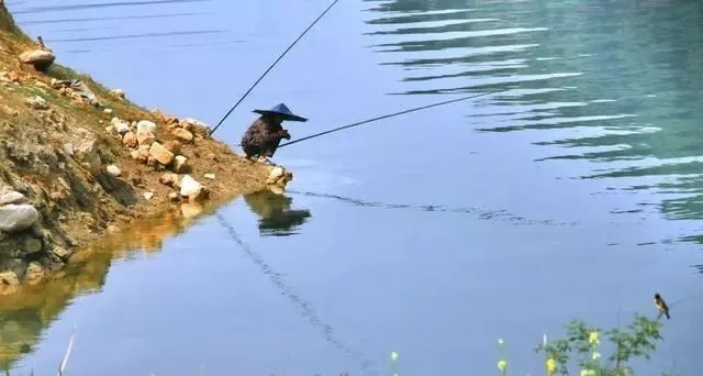 冬天|冬季钓鱼讲究人找鱼，学会这样选点打窝，让你狂钓大板鲫