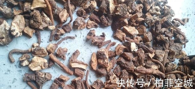 根茎|农村野外有很多蒲公英，怎么自制蒲公英茶？