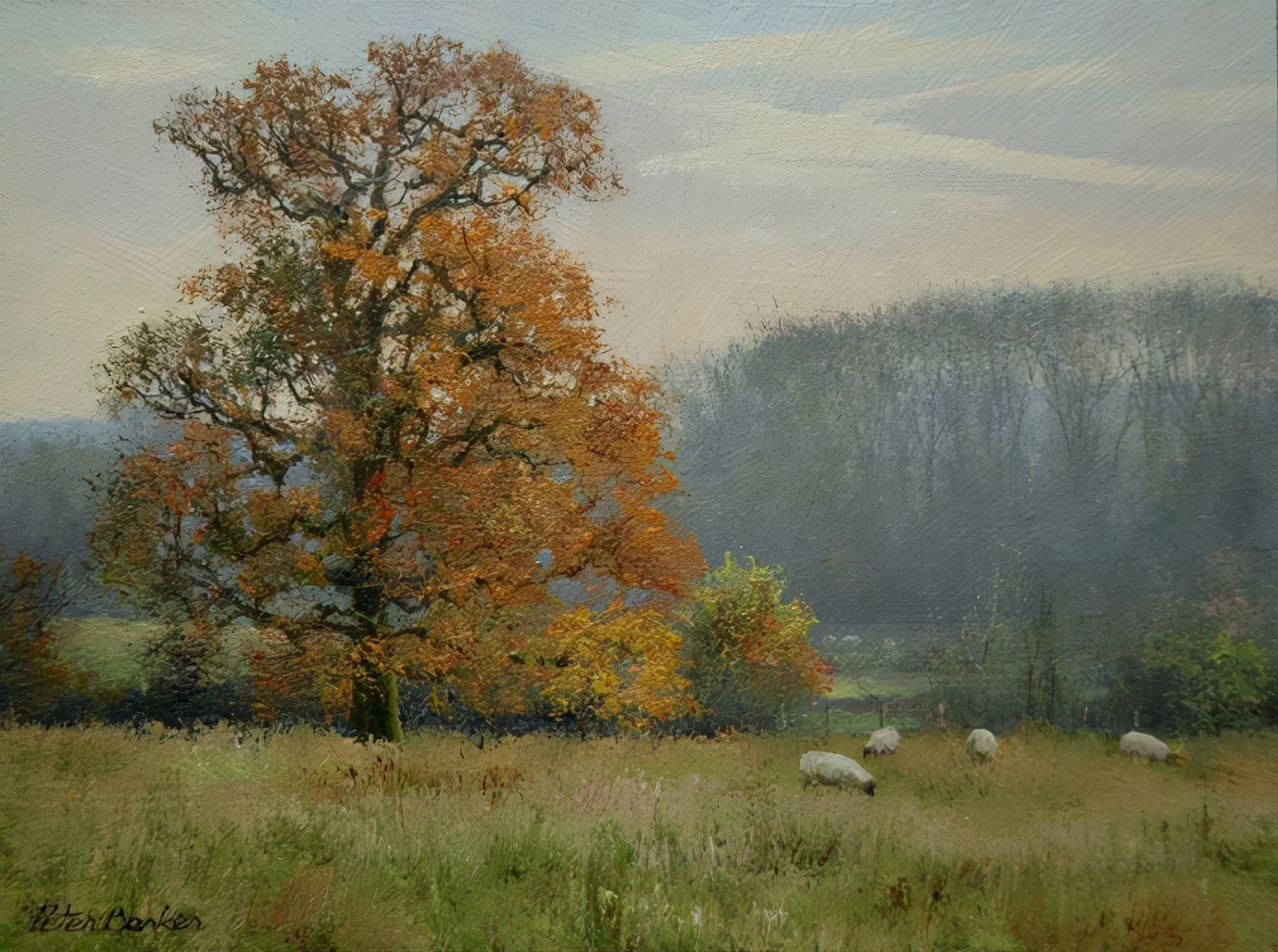 Peter#英国Peter Barker油画风景(二)