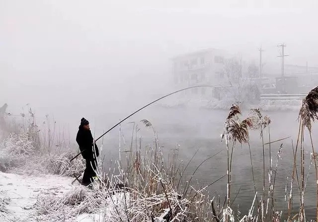 窝料|冬季垂钓不想走空，注意这3点，期待的渔获可得