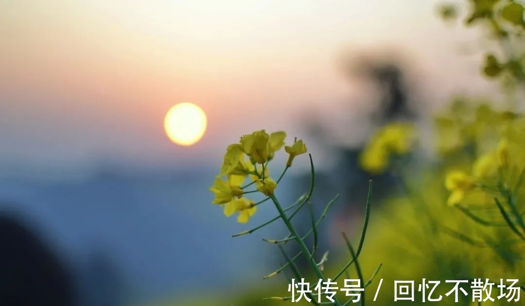 春夜!10首意境优美的小诗,美了眼,醉了心,惊艳了时光