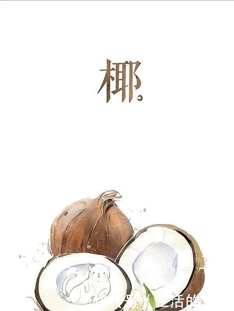 配不上|原来的壁纸已经配不上你的iPhone12了,快来换新的猫咪壁纸