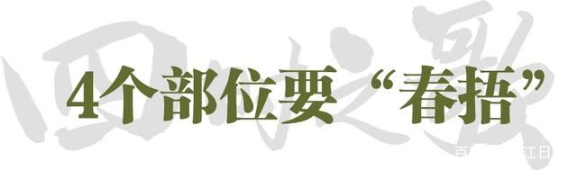 立春｜怎么也飞不出“花花的世界”，到汉口这条小巷探听春的消息