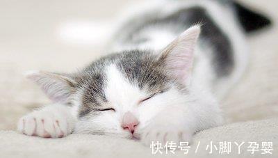 |幽默笑话：今天老板来公司视察，顺便给我们开了个会