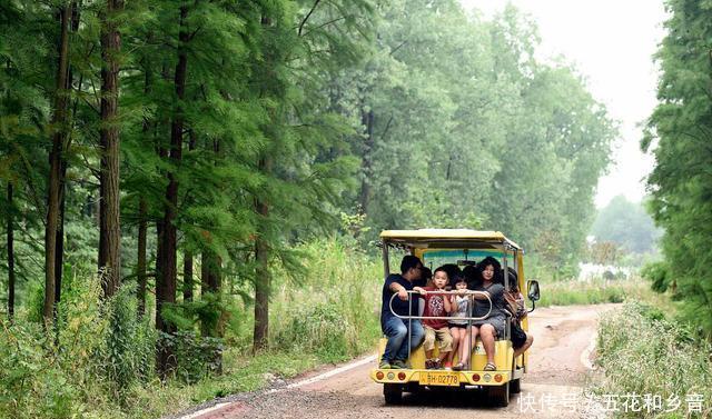 美食|淮上明珠,金湖美食扬天下!