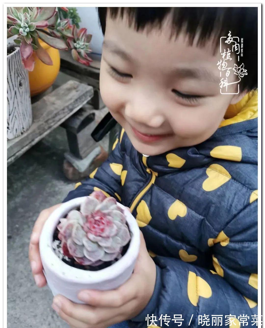 百科|多肉之路,让我沉醉,浮世三千,有肉就欢!