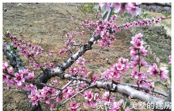 羊肉串|2个月没吃烧烤了，今天花了330元，吃了这些看看划算吗？