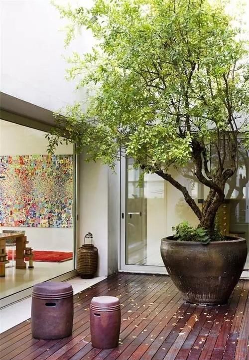  设计|宽两米长五米的院子怎么设计花园？