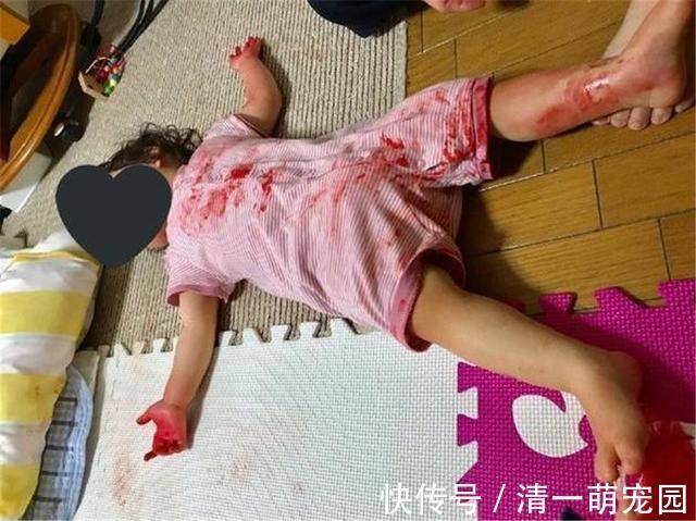 女儿|宝妈留3岁女儿在家午睡,独自出门取快递,回家后的景象让她腿软