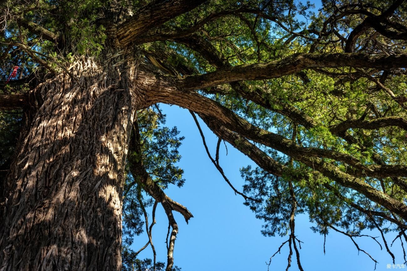六人行|诗意 · 江湖,六人行
