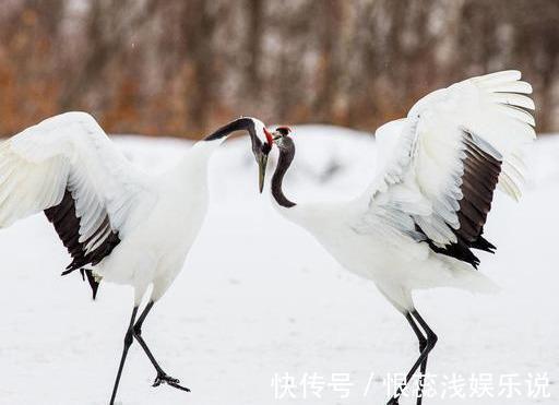 子女|过了60,自私的父母最伟大!此文很有意义,希望中老年人认真读读