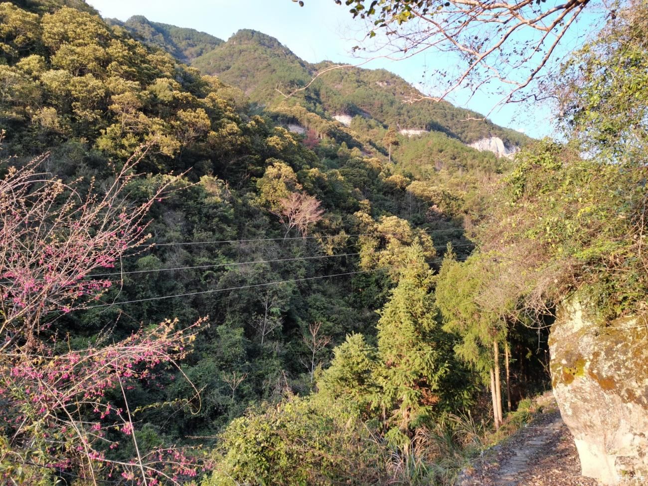 栈道|牛年春节不停歇