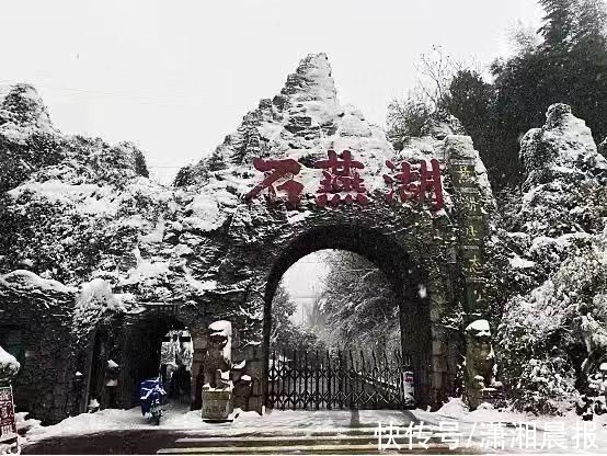 李蕾|组图｜雨花雪景还没赏够？看这里！惊艳nice“绝绝子”