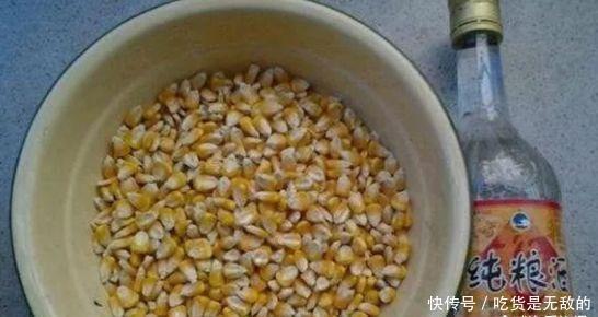 鲤鱼饵不要买,自己在家就能做,1分钟能学会,让你钓1次忘不掉