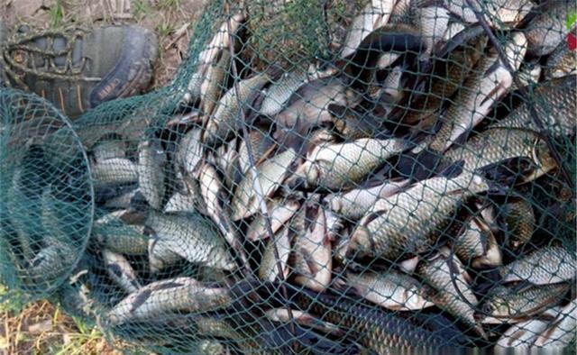 早春钓鱼,气温忽高忽低是难点,能做到这几点,收获还是有保证