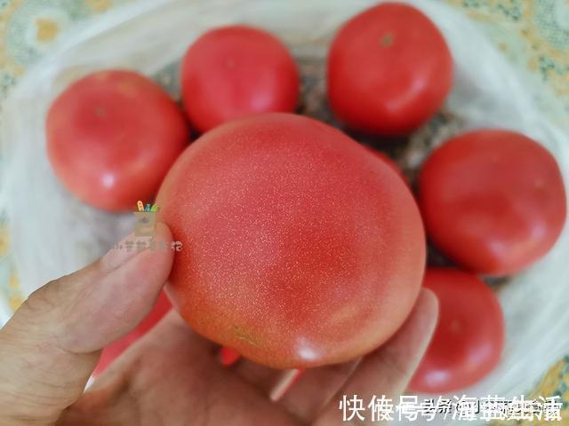 买西红柿，挑圆的还是尖的？菜农：“这3种”可别买，都是催熟的