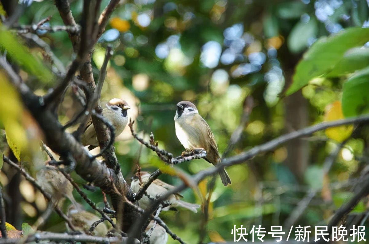 要闻|12月13日·上海要闻及抗击肺炎快报