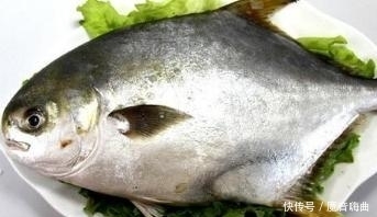 鲫鱼|去菜市场买鱼要注意,这些禁忌你一定要知道