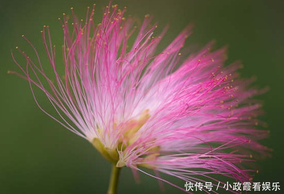 出门|到了11月，4属相好运袭来，财运旺盛，出门见喜，生活幸福美满