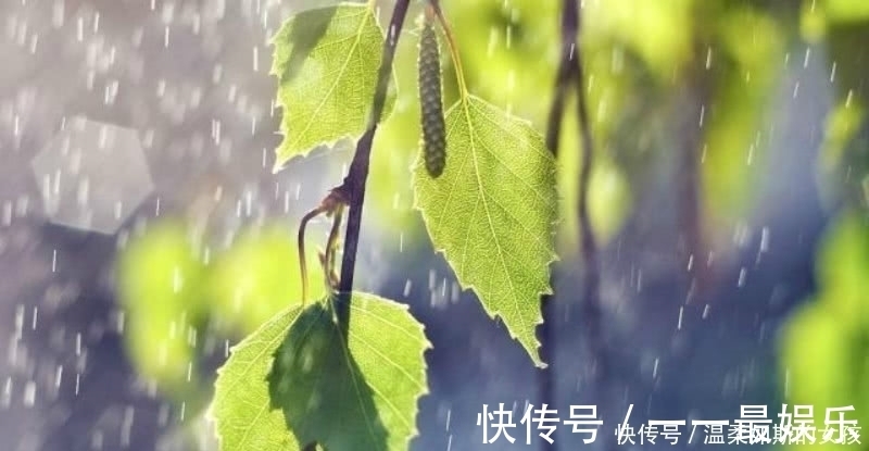 小雨|杨万里的这首《小雨》，也是一首千古名篇，整首诗充满了诗情画意