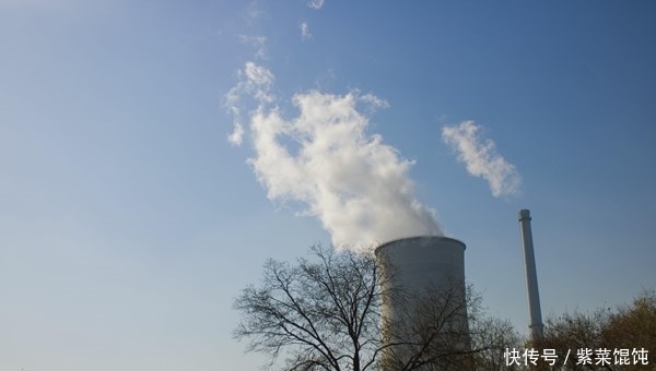 鼻毛“窜”出鼻孔说明什么？该剪还是该拔？建议您看完再决定