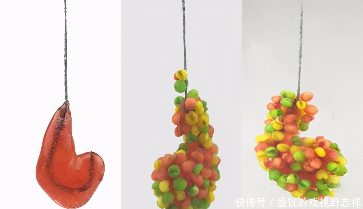 用武之地|入夏用素饵,蚯蚓无用武之地?你没用对方法!这样用比饵料好多了