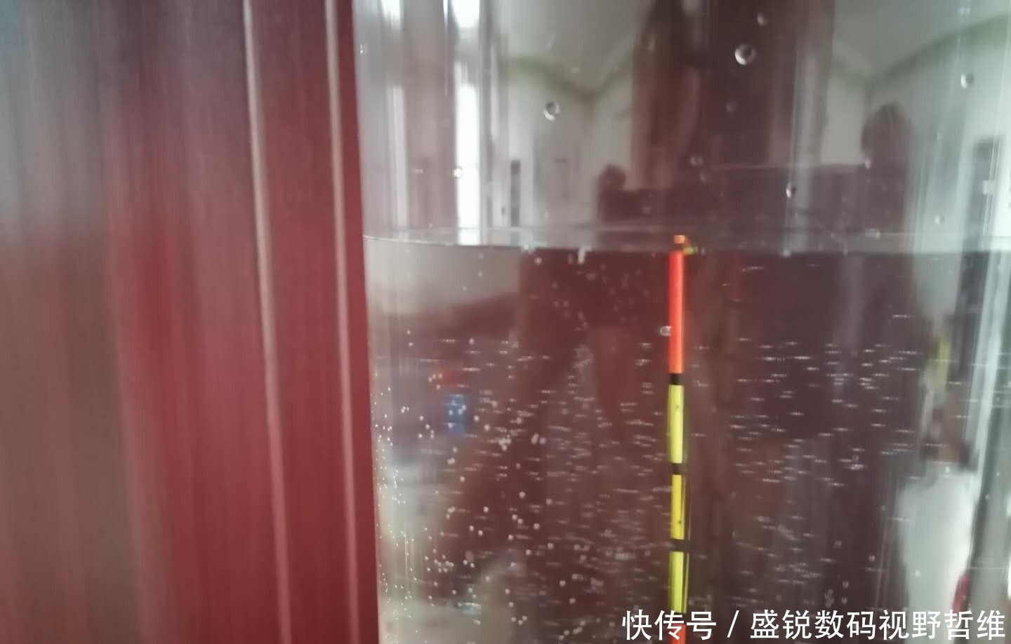 大鱼|这5个钓鱼知识虽冷,却是十足的常识,你是否因犯迷糊而忽视呢?