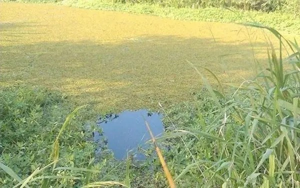 深水|冬钓鲫鱼,新手才钓深水,老钓友只找3个位置,鱼都在这里!