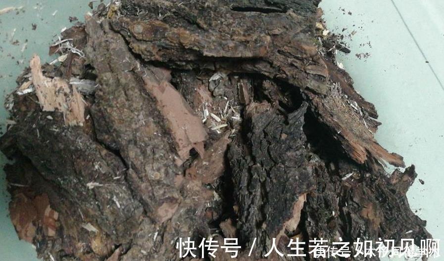 花草|给花草换盆时,偷偷塞些它,土壤更透气肥沃,植物不爱烂根