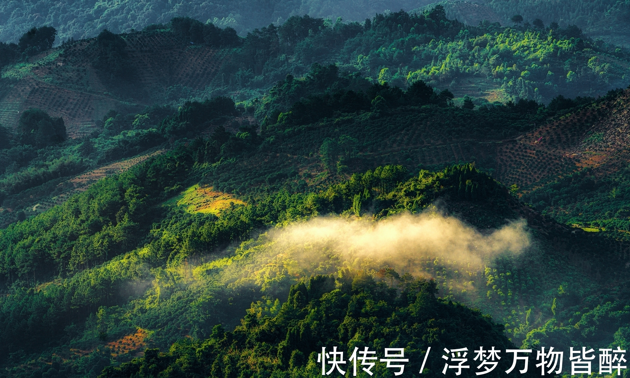 佳句#孟浩然在失意中写下一首诗,风格凄凉而佳句频出,有多少人读过?