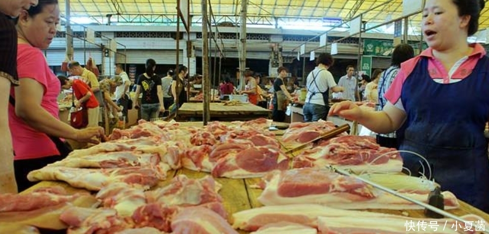 猪肉|一头重量200斤左右的猪,把它的肉全部卖完能赚多少钱?长见识了