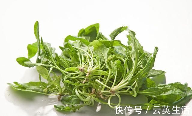 荠菜|女性爱美要多吃3种食物,补足气血、延缓衰老,早吃早健康!